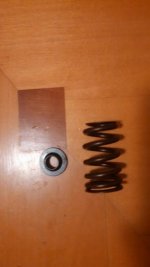 valve springs 2.jpg